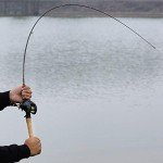 Sougayilang Lightweight Graphite Trout Fishing Rod 6'0