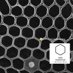 Soft Rubber Fishing Net with Wooden Frame and Magnet