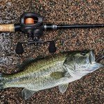 Piscifun Torrent II Baitcaster Fishing Reel - Right Hand