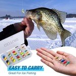 Goture Ice Fishing Jigs Tungsten Lure Kit