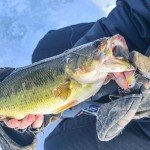 Goture Ice Fishing Jigs and Lures Kit