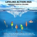 Dovesun Ice Fishing Jigs with Storage Box - 28pcs