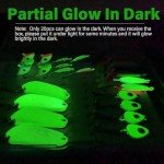 Dovesun Ice Fishing Jigs with Storage Box - 28pcs