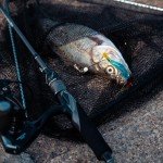 Goture Luminous Soft Shrimp Fishing Lures Set