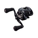 Daiwa Gillion TW HD 1000XH Baitcasting Reel
