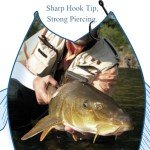 10-Pack High-Carbon Circle Hooks for Fishing