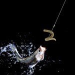 Dr.Fish 100 Pack Aberdeen Fishing Hooks #6