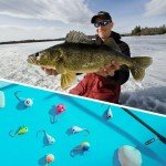 97% Pure Tungsten Ice Fishing Jigs - 5-Pack