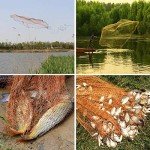 Drasry Saltwater Fishing Cast Net for Bait