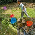 M-jump 3 Pack Colorful Telescopic Butterfly Nets