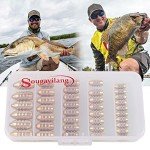 Sougayilang Fishing Sinkers and Jig Hooks Set