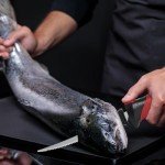 Pratuor Cordless Electric Fillet Knife with Carry Bag