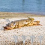 Pyramid Sinkers Fishing Weights Kit for Surf Fishing