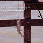 UCEC Offset Shank Worm Hooks for Bass Fishing