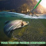 Adjustable Telescoping Aluminum Fishing Net, 32-52.7