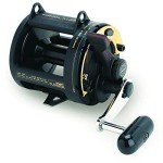 Shimano Triton TLD25 Lever Drag Fishing Reel