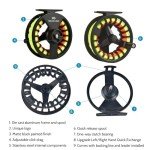 Fly Fishing Rod and Reel Combo Starter Kit