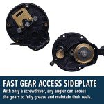 PENN Squall II Level Wind Fishing Reel 15