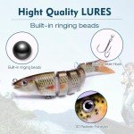 Lifelike Saltwater Fishing Lures for Anglers