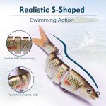 Lifelike Saltwater Fishing Lures for Anglers