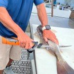 KastKing Lithium-ion Electric Fillet Knife (Speed Demon Pro) - Rechargeable, Cordless, High Speed, Extended Battery Life, Superior Blade, Ergonomic Handle, Carry Case Fishing, Filleting, Outdoors