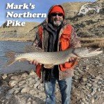 Panther Martin DSG6 Best of the Best Spinners Fishing Lure Kit - Assorted - Pack of 6