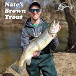 Panther Martin DSG6 Best of the Best Spinners Fishing Lure Kit - Assorted - Pack of 6