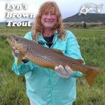 Panther Martin DSG6 Best of the Best Spinners Fishing Lure Kit - Assorted - Pack of 6