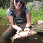 Panther Martin DSG6 Best of the Best Spinners Fishing Lure Kit - Assorted - Pack of 6