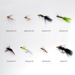 BASSDASH 64pcs Fly Fishing Flies Kit with Fly Box for Trout Bass Fishing Include Dry Flies, Wet Flies, Nymphs, Streamers