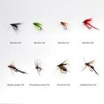 BASSDASH 64pcs Fly Fishing Flies Kit with Fly Box for Trout Bass Fishing Include Dry Flies, Wet Flies, Nymphs, Streamers