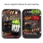 BASSDASH 64pcs Fly Fishing Flies Kit with Fly Box for Trout Bass Fishing Include Dry Flies, Wet Flies, Nymphs, Streamers