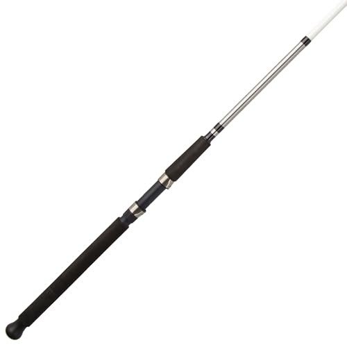 Shakespeare Alpha Bigwater 9' Spinning Rod, 2-Piece Fishing Rod, Tubular Glass Rod Blank, Medium Heavy Rod Power, Comfortable EVA Type A Handle, Graphite Reel Seat
