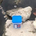 BASSDASH American Saltwater Fishing Cast Net 3/8 1/4-Inch Mesh 4ft 6ft 8ft Radius, 1-Pound Per Foot, for Bait Fish with Utility Bucket Casting