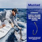 Mustad Demon Offset Circle, 1X Strong - Black Nickel-Size 4/0 - Pack of 25