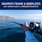 PENN 6’6” Rival Level Wind Fishing Rod and Reel Conventional Combo, 6’6”, 1 Tubular Fiberglass Fishing Rod with 2 Reel, Durable, Break Resistant and Lightweight