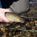 Redington Classic Trout Freshwater Fly Fishing Rod - Moderate Action 4-Piece Fly Rod - Case Included - 5WT 9'0"