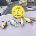 Seaguar Invizx Freshwater 100% Fluorocarbon Fishing Line 8lbs, 200yds Break Strength/Length, clear - 08VZ200