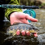 Sougayilang Fly Fishing Rod, Lightweight Ultra-Portable 4 Pieces 5/6wt Graphite 9' Fly Rod for Complete Starter with SuperPolymer Handle-Blue