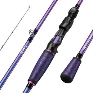 KastKing Royale Legend Pro Casting Rod 2 pc6'8, Jerk Bait