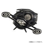 Daiwa 24TATULA TW 100H Bait Reel