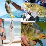 25pcs Bass Casting Weights Fishing Weights Sinkers with Swivel for Bass Catfish Freshwater Saltwater with Tackle Box