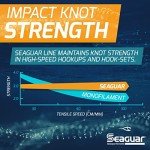 Seaguar Blue Label 100% Flourocarbon Fishing Line (DSF), 40lbs, 25yds Break Strength/Length - 40FC25