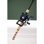Ugly Stik 6’6” Elite Casting Rod, One-Piece, 10-20lb Line Rating, Medium Heavy Power, Fast Action, 1/4-3/4 oz. Lure Rating