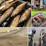 BasicGear Professional Seine Net 4' x 10' | Ultra Strong | Maximizes Catch | Ideal for Both Commercial and Recreational Fishing | Multiple