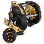 Sougayilang Trolling Reel Saltwater Level Wind Reels, Drag Reels Boat Fishing Ocean Fishing for Sea Bass Grouper Salmon-SHA40-Golden