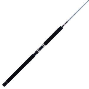 PENN Prevail III 6'6" Jig Spinning Rod; 1-Piece Fishing Rod, Durable Graphite Composite Construction, Durable Stainless Steel Guides