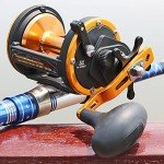 Sougayilang Conventional Reel Trolling Fishing Reel Powerful Drag Fishing Reel for Saltwater Big Game (TS50-gold)
