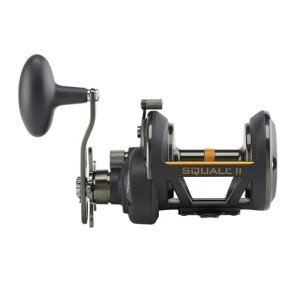 Penn Squall II Star Drag Conventional Fishing Reel, SQLII40SD,Black Gold