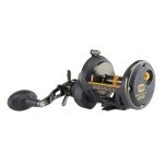 Penn Squall II Star Drag Conventional Fishing Reel, SQLII40SD,Black Gold